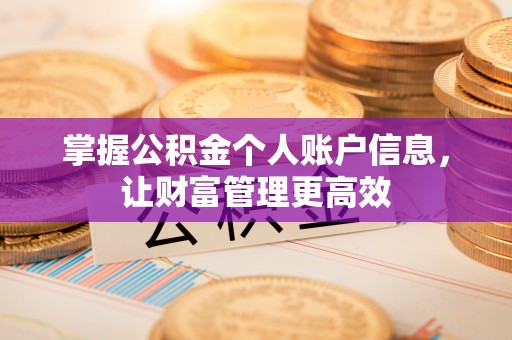 樟木头掌握公积金个人账户信息，让财富管理更高效