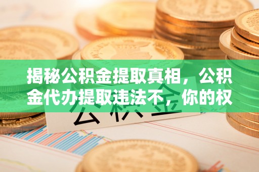 樟木头揭秘公积金提取真相，公积金代办提取违法不，你的权益如何保障？