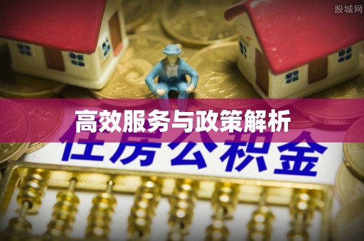 樟木头高效服务与政策解析