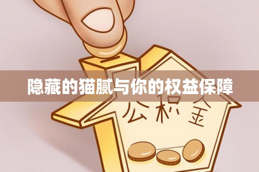 樟木头隐藏的猫腻与你的权益保障