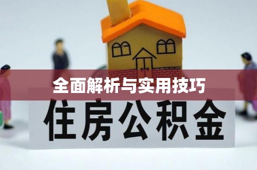樟木头全面解析与实用技巧